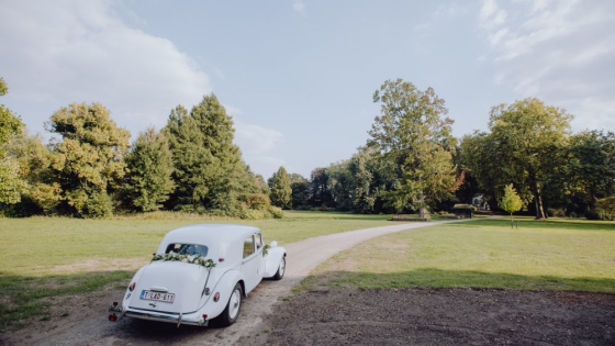 Oldtimer rijdt door groen landschap
