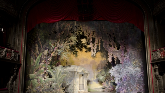 Forêt Asiatique