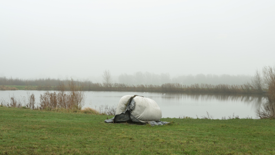 Foto van het werk Groot Gebonden Marmer