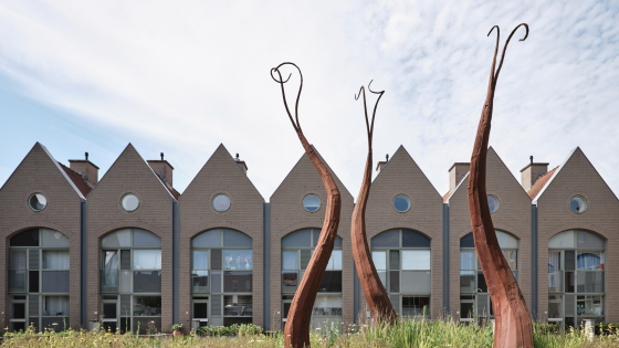 Foto van de Hemelwortels van Maarten Schaubroeck