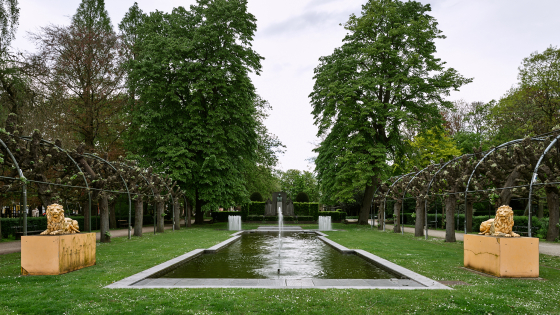 Foto van de leeuwen aan het Koningin Astridpark