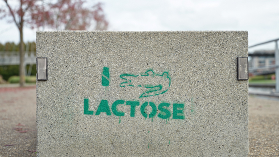 Foto van het kunstwerk Lactose