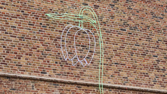 Foto van Wilting Flower #5 in de binnentuin van Abby