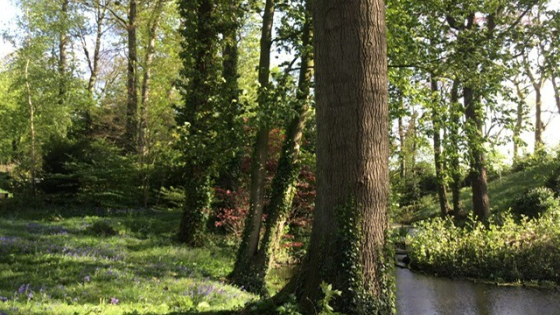 allartbos