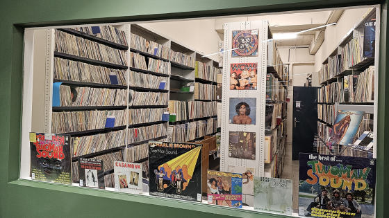 Vinylmagazijn bib kortrijk