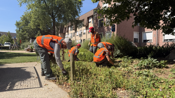 Leeflooncli&euml;nten aan het werk