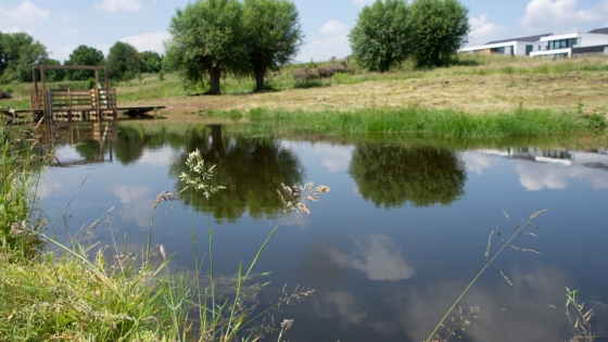 Natuurpunt werken Rotersmeers Bissegem