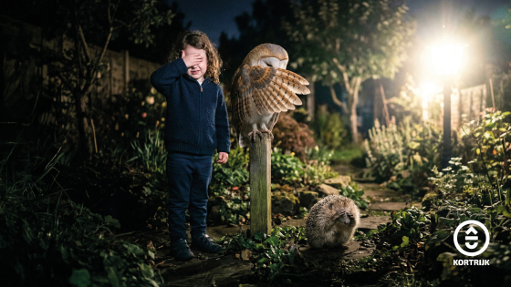 Het is donker, maar er schijnt een fel licht. Een meisje, uil en egel beschermen hun ogen tegen het felle licht