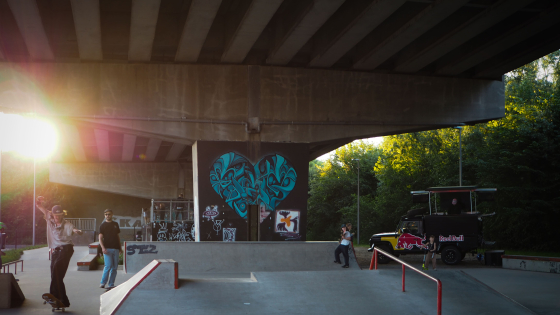 Go Skateboarding Day