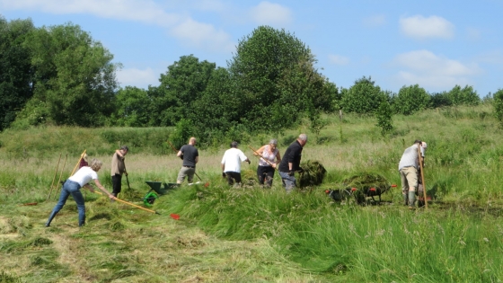 Natuurpunt werken Rotersmeers Bissegem