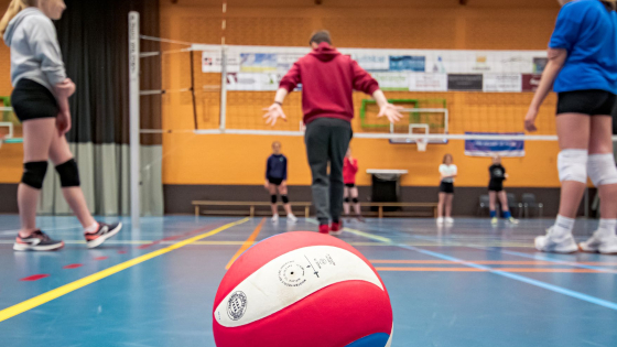 sport volleybal