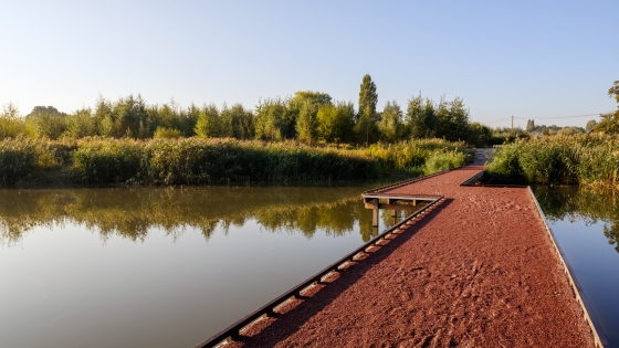 stadsgroen marionetten