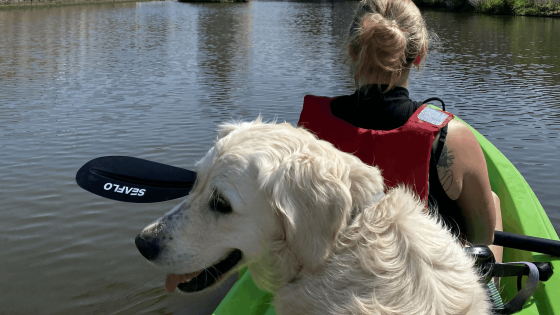 vrouw en hond in kajak bij broeltorens