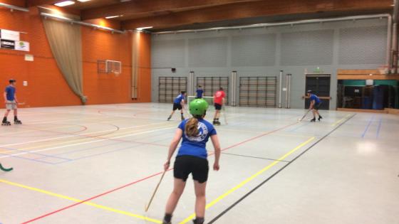 Sporten A-Z rolhockey Hannes vzw