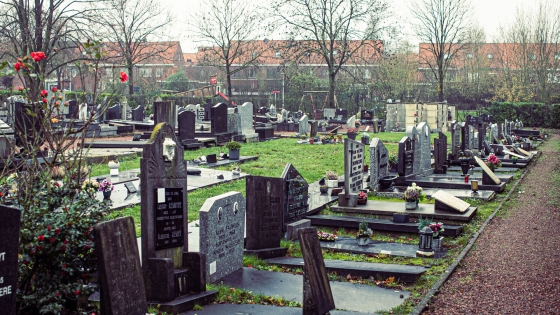 De begraafplaats in Aalbeke