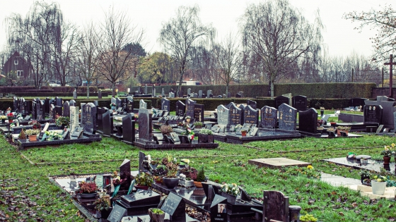 De begraafplaats in Rollegem