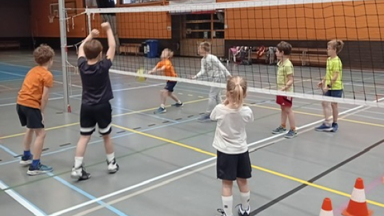 Kinderen spelen volleybal