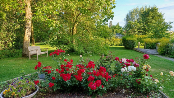 Tuin van Frans Destoop