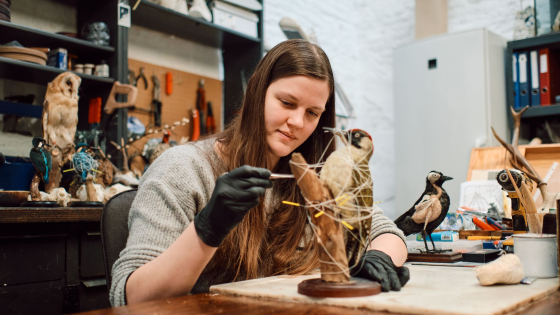Taxidermiste Frauke