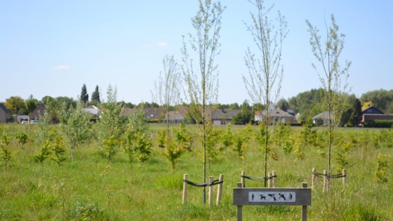 Stadsgroen Ghellinck