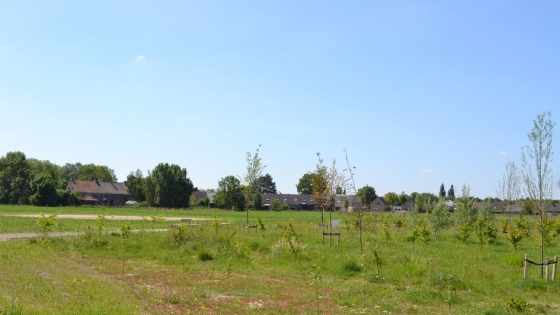 Stadsgroen Ghellinck