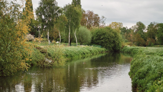 heulebeek