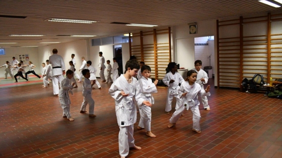 karate opleiding