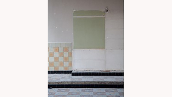 Luc Michiels