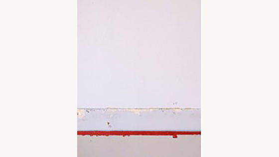 Luc Michiels