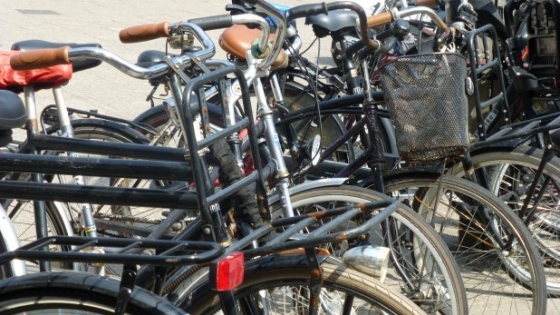 Pidgin Prominent Een trouwe Kortrijkfietst | Kortrijk