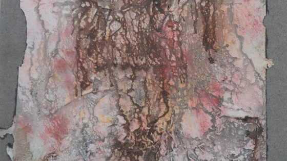 myriam polfliet 1
