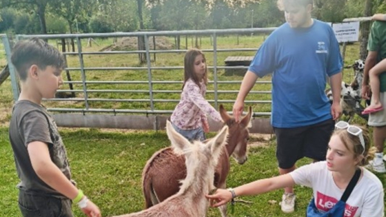kinderen bij de ezels