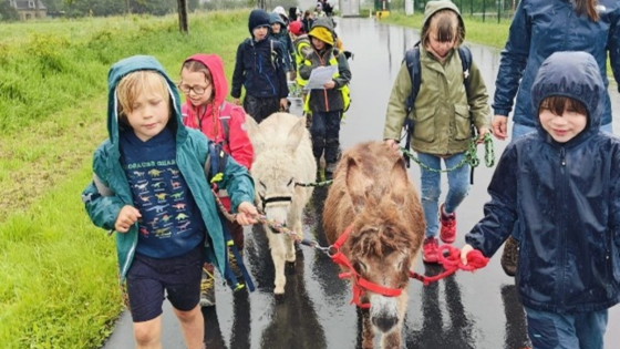een groepje kinderen wandelt op straat met een ezel