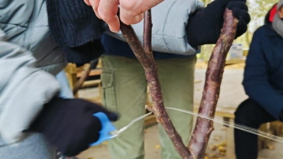kinderen houden een tak vast, er hangt een draadje door
