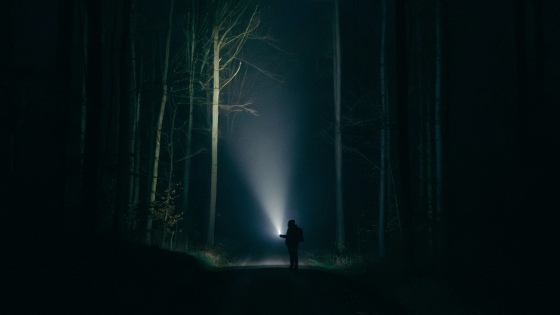 in een donker bos houdt iemand een zaklamp vast