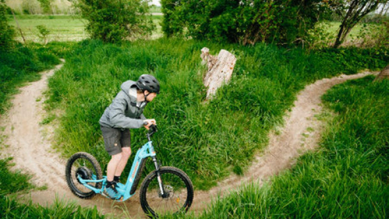 Offroad steps
