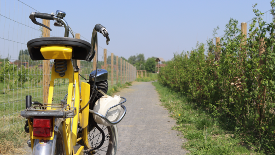 Solex in groen landschap