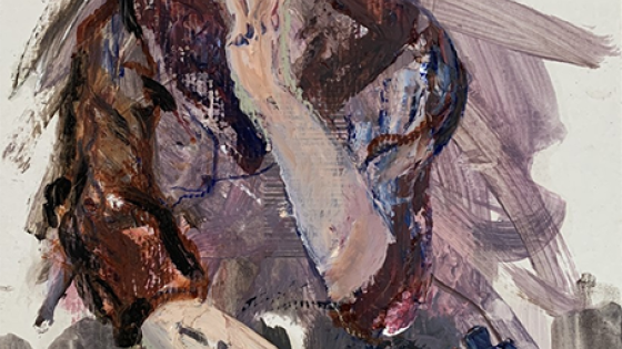 Ward Vercruysse