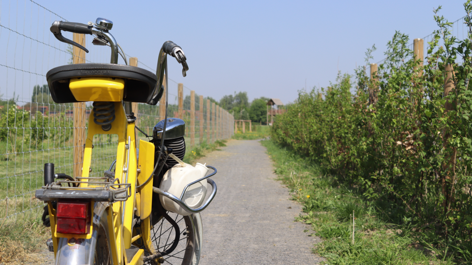 Solex in groen landschap