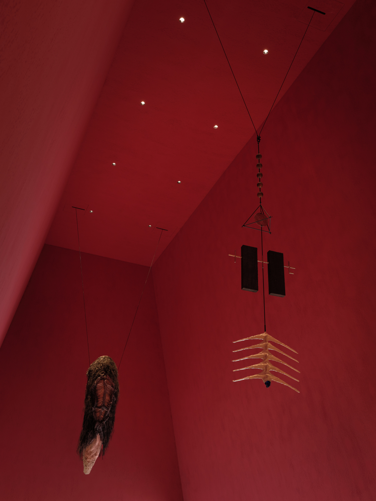 I+L (Image + Likeness)