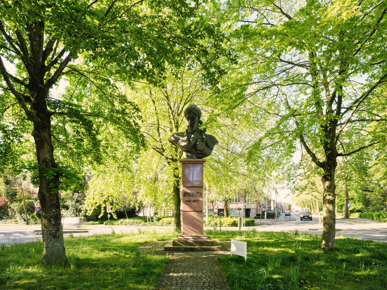Foto van het borstbeeld van Avicenna