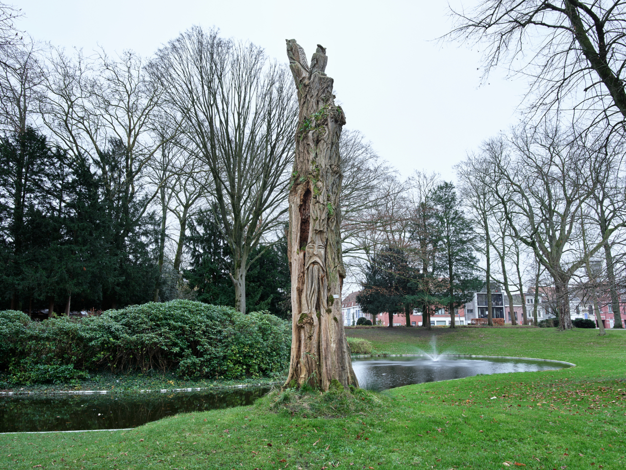 Foto van de boomsculptuur in het Koningin Astridpark