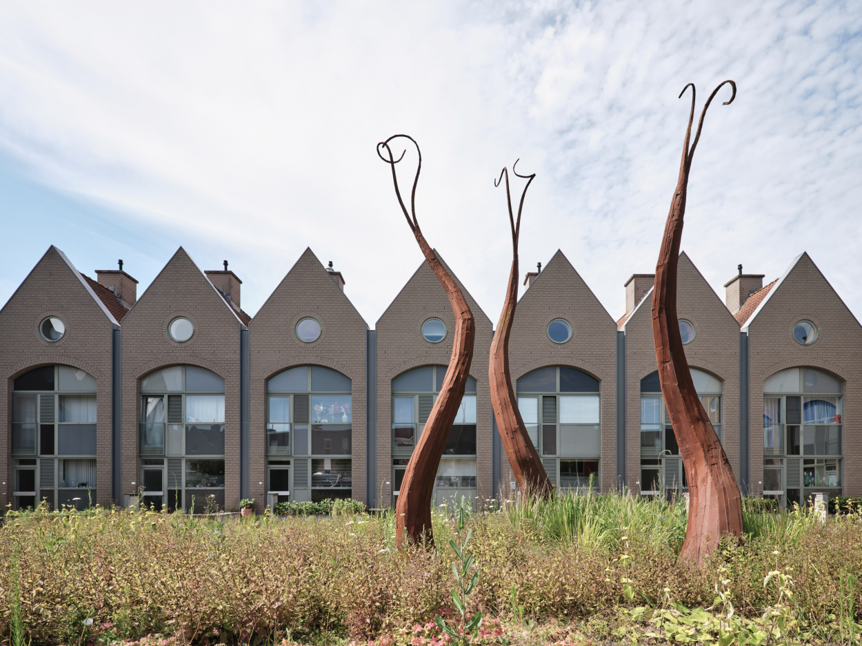 Foto van de Hemelwortels van Maarten Schaubroeck