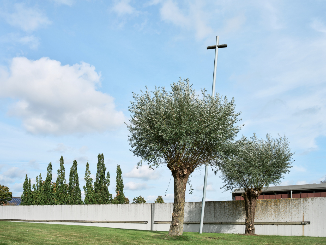 Foto van het kunstwerk Kruis op de begraafplaats Hoog Kortrijk