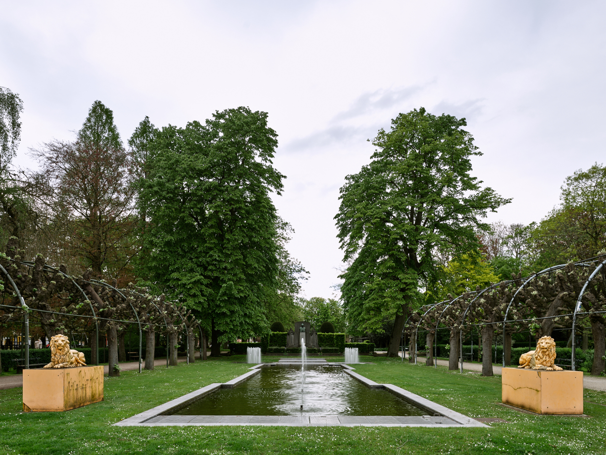 Foto van de leeuwen aan het Koningin Astridpark
