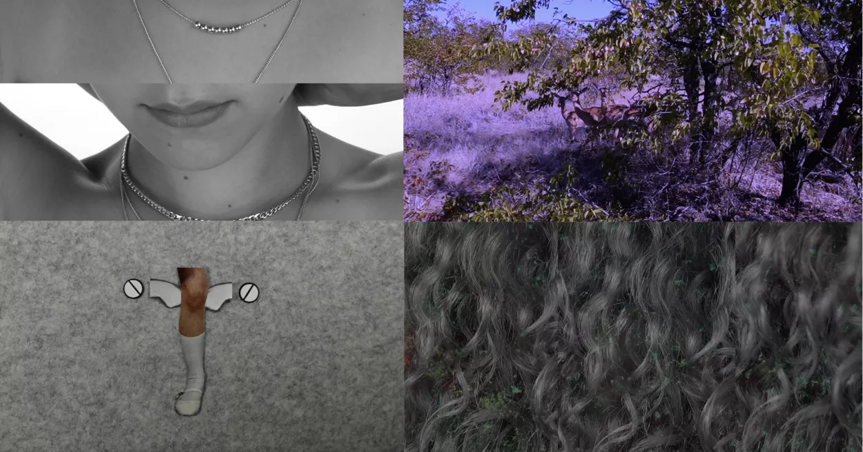 Charlot Winne Kunstwerk Collage