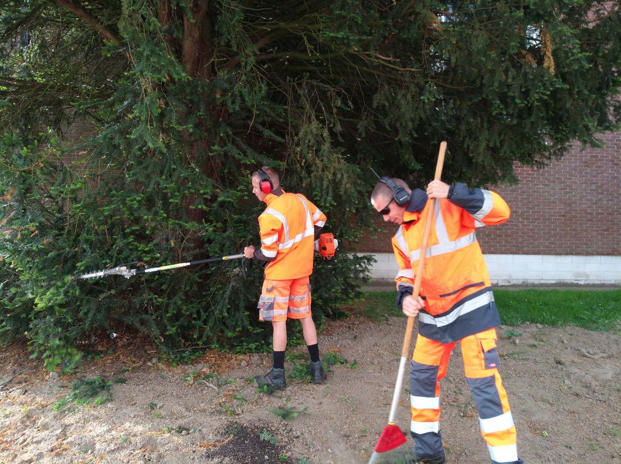 Ervaren medewerker groen