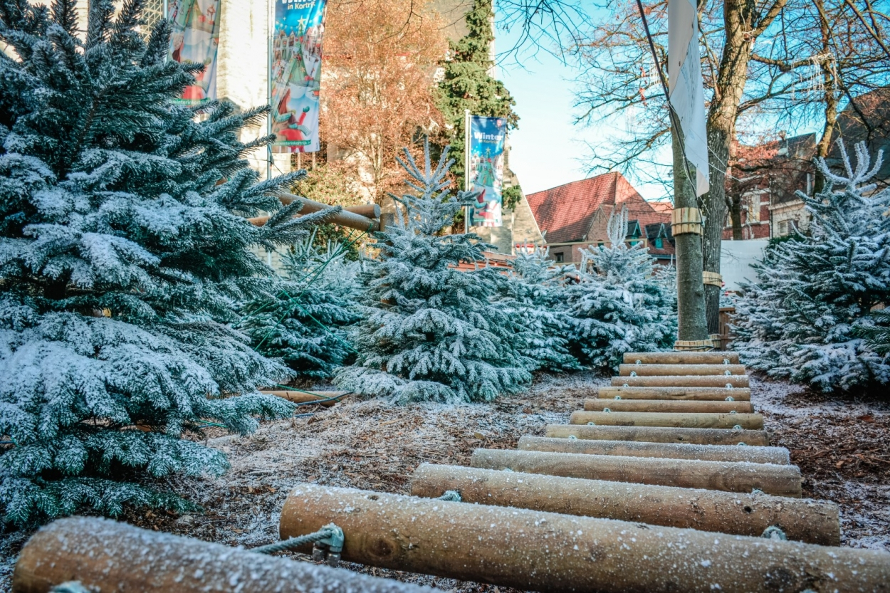 Afbeelding winter in Kortrijk