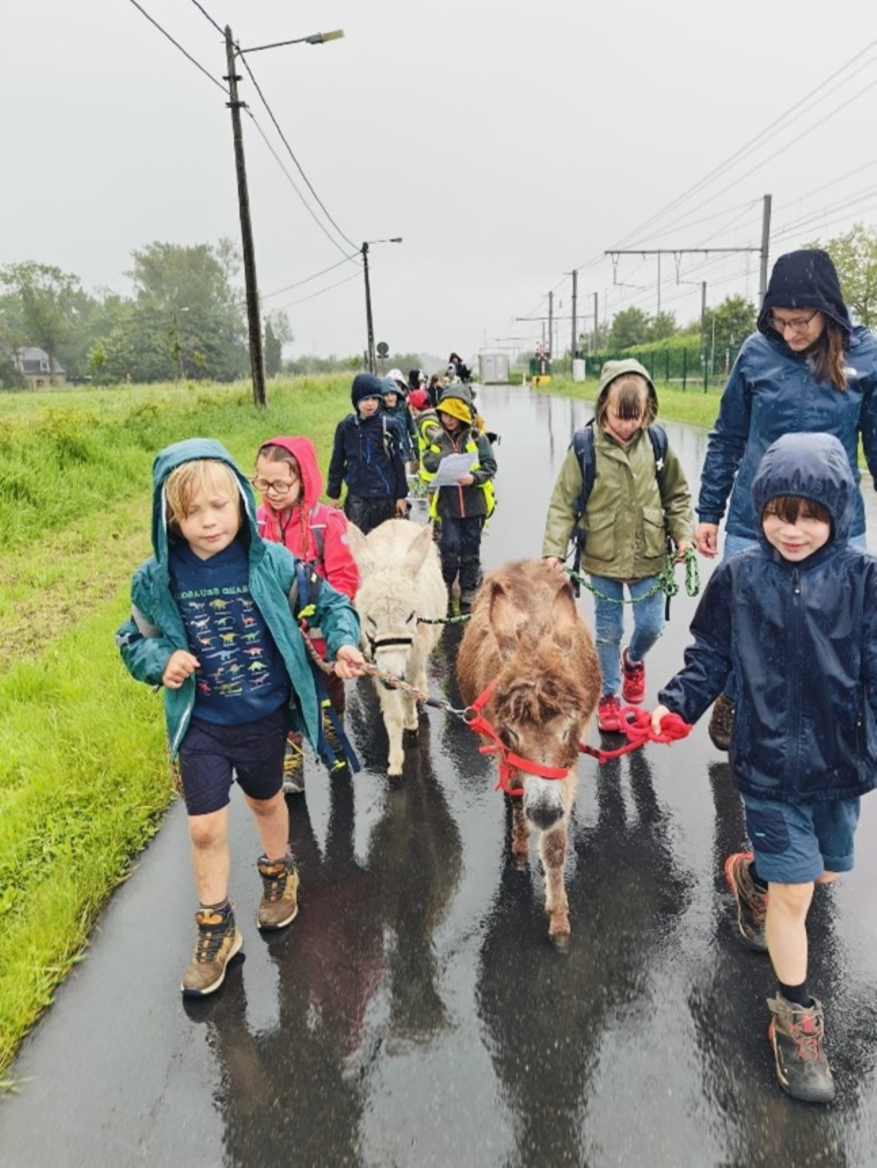een groepje kinderen wandelt op straat met een ezel