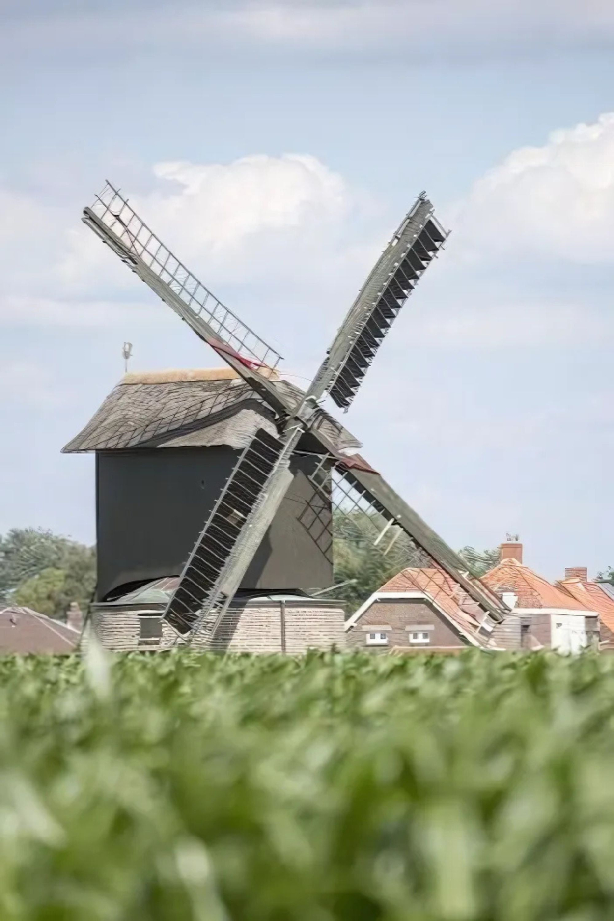 preetjesmolen heule